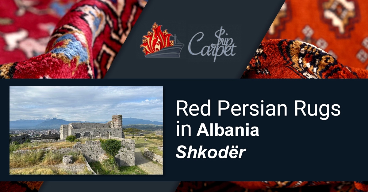 Buy premium rugs online in Shkodër, Albania. Explore our best collection!
