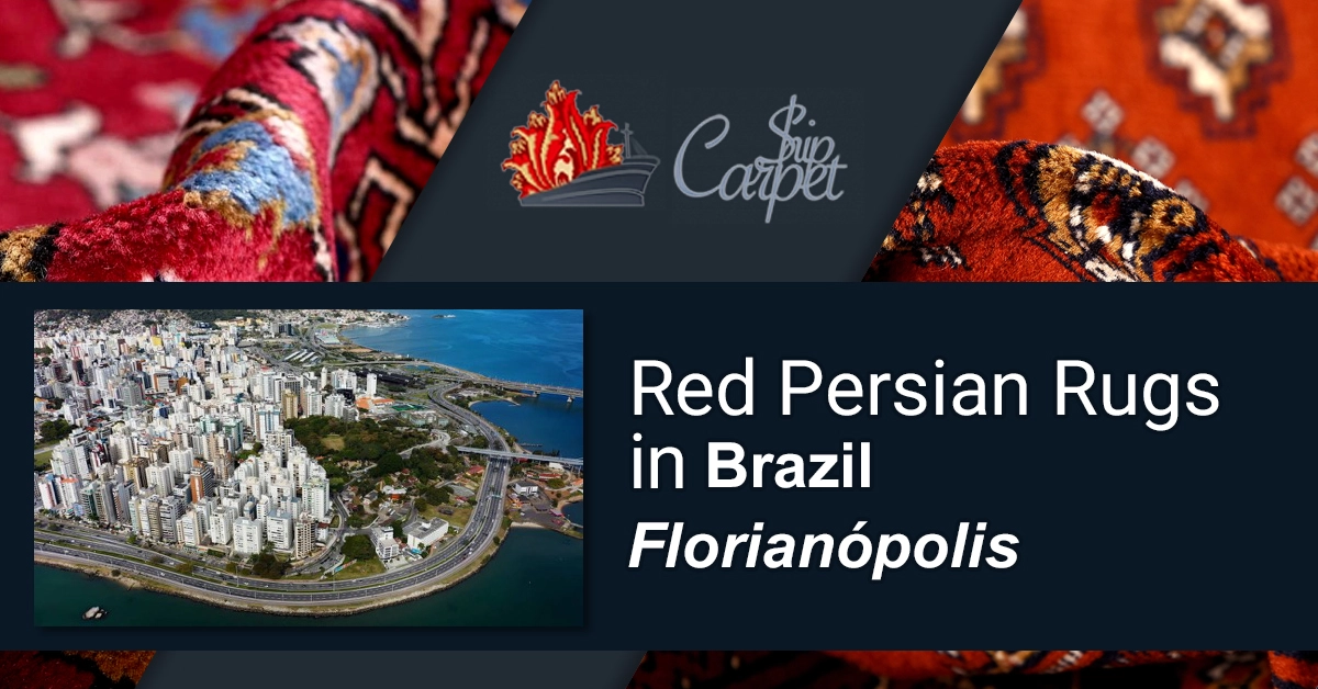 Buy premium rugs online in Florianópolis, Brazil. Explore our best collection!