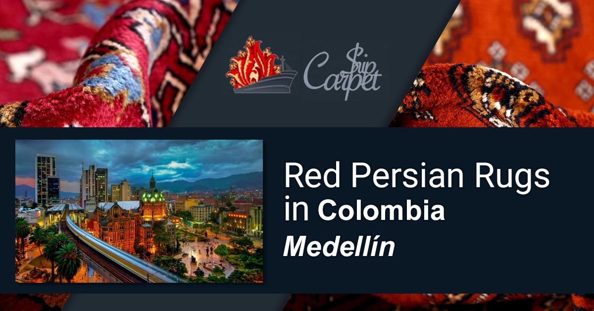Buy premium rugs online in Medellín, Colombia. Explore our best collection!