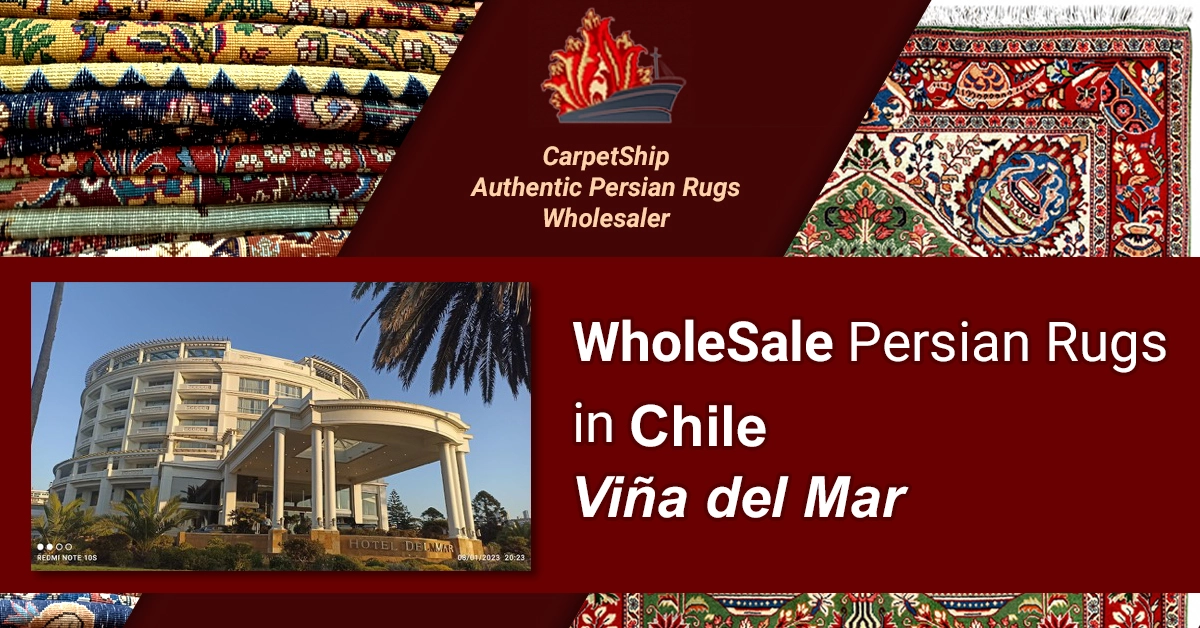 Wholesale premium Persial rugs online in Viña del Mar, Chile. Explore our best collection!