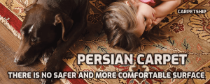 Persian carpet safe and comfortable