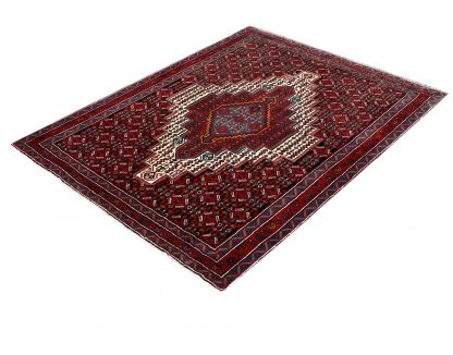 Kurdish Senneh rug DR-331 - Persian rug