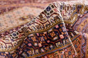 Cream Rug, 40 years old Ardabil Rug DR 491-6641